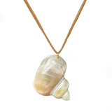 Cinnerus Seashell Suede Necklace