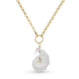 Ophelia Shell Chain Necklace